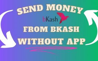 send money from bkash without app,