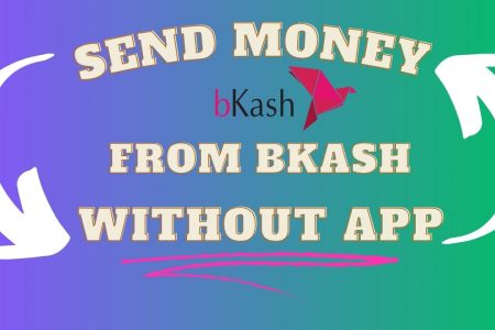 send money from bkash without app,